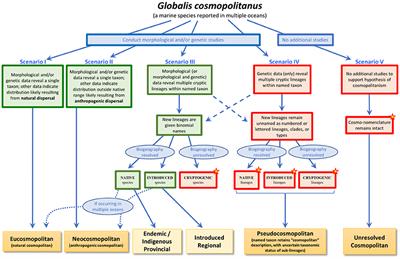 A Framework for Understanding Marine Cosmopolitanism in the Anthropocene